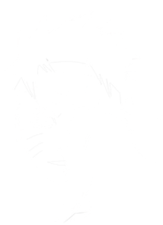 naruto anime